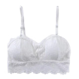 Push Up Lace Bralette