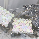Chain With Shining Sequins Purse